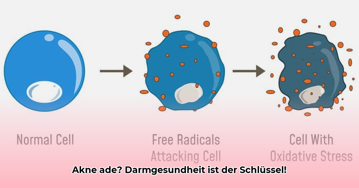 welche-probiotika-bei-akne